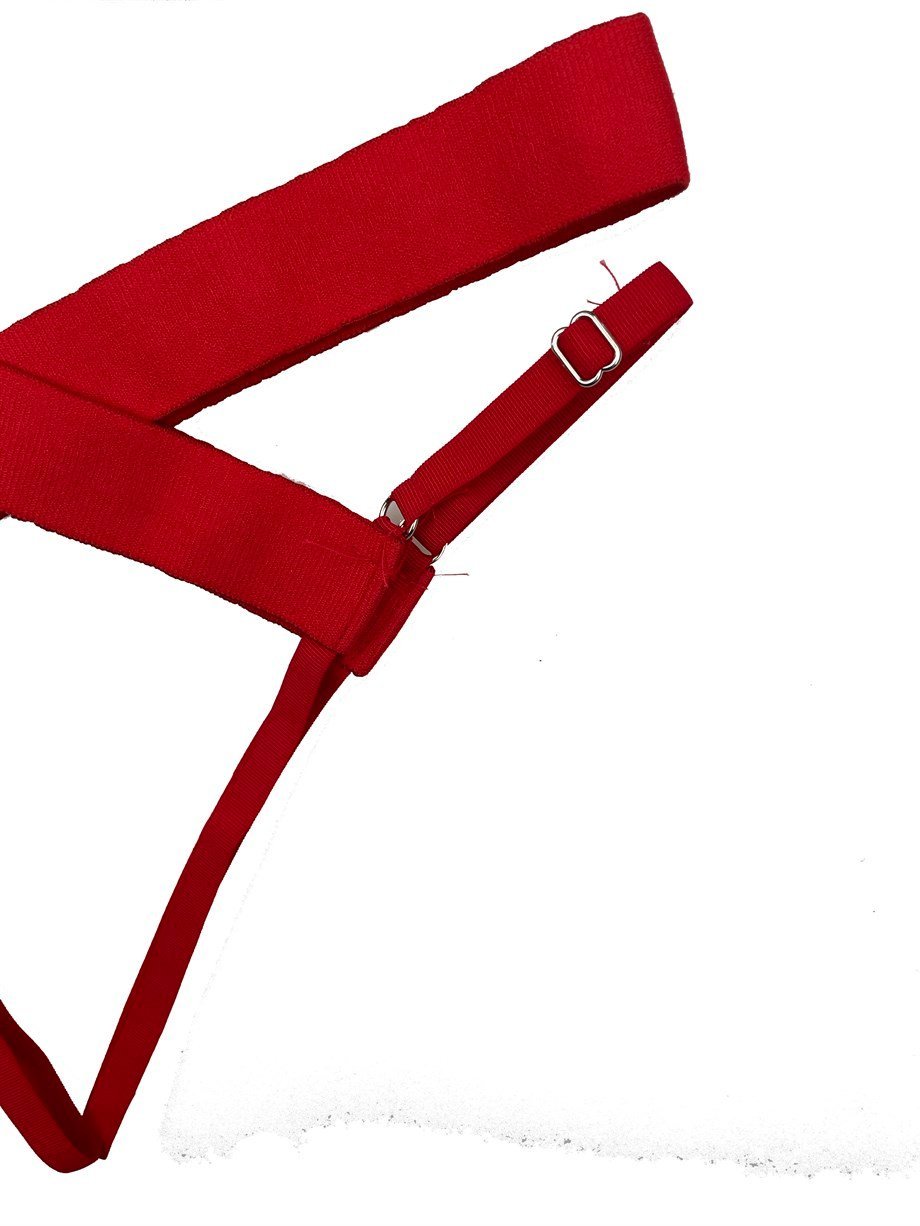 Red Strap Harness Set - Bold Lingerie
